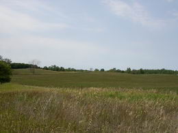 Lovely 2.5 Acres in Mono - Country homes for sale and luxury real estate including horse farms and property in the Caledon and King City areas near Toronto
